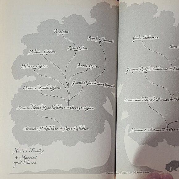 Ya-Ya's In Bloom by New York Times Best Selling Author Rebecca Wells Hardback - Picture 14 of 16